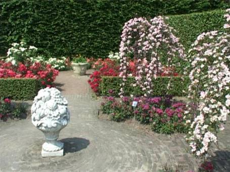 Arcen : Schlossgärten, Rosarium 
